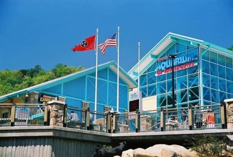 Wild Turkey "The Perfect Getaway" Pigeon Forge Exterior foto
